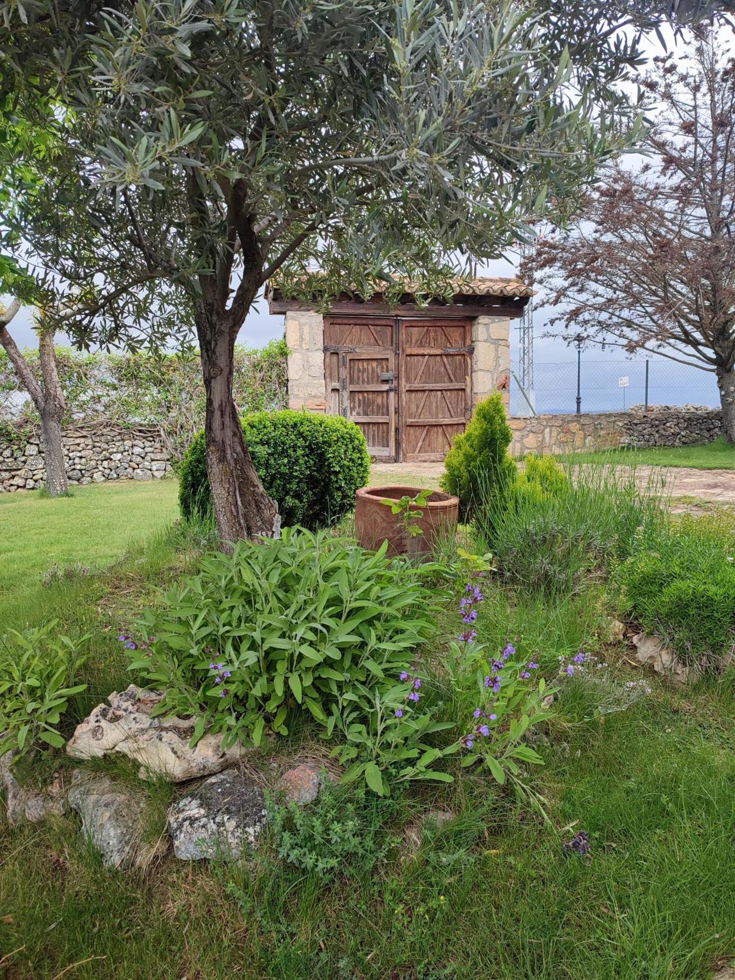 Casa Rural La Galiana Villa Algora Exterior foto